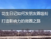 花生日记,花生日记如何发朋友圈