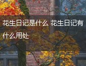 花生日记,花生日记是什么