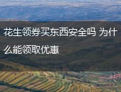 花生领券买东西安全吗