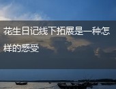 花生日记线下拓展