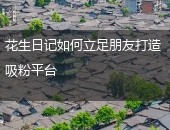 花生日记吸粉