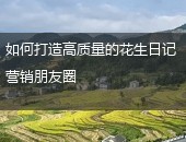 花生日记朋友圈