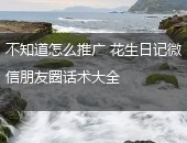 花生日记,花生日记推广话术