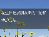 花生日记朋友圈