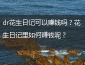 dr花生日记可以赚钱吗