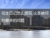 花生日记,花生日记怎么提现