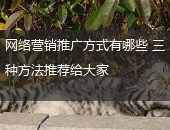 网络营销