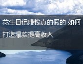 花生日记,花生日记赚钱真的假的