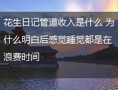 花生日记,花生日记管道收入