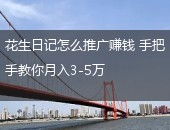 花生日记怎么推广赚钱