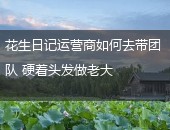 花生日记,花生日记运营商