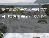 花生邀请码是怎么来的