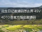 花生日记,花生日记邀请码
