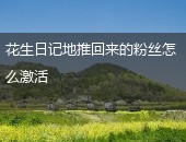 花生日记,花生日记激活粉丝