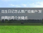 花生日记推广,花生日记怎么推广