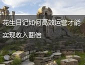 花生日记运营