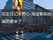 花生日记,花生日记代理