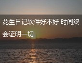 花生日记好不好