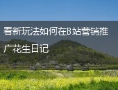 花生日记营销推广