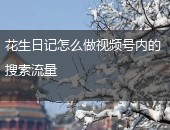 花生日记视频号流量