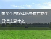 花生日记推广