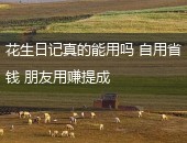 花生日记