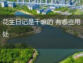 花生日记是干嘛的,花生日记用处