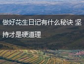花生日记秘诀
