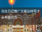 花生日记推广文案