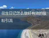花生日记引流
