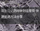 花生日记,花生日记怎样做到运营商