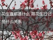 花生日记,花生直邮
