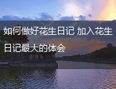 如何做好花生日记,花生日记