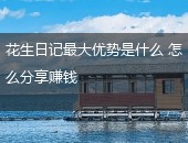 花生日记,花生日记优势