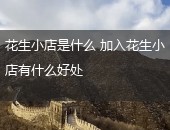 花生小店,花生小店是什么,花生小店好处