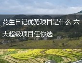 花生日记优势