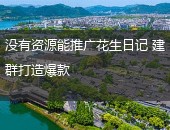 推广花生日记