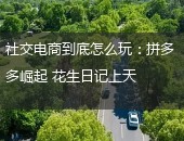 拼多多,花生日记