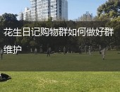花生日记购物群