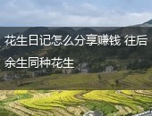 花生日记怎么赚钱
