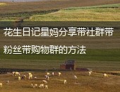花生日记,花生日记带粉丝