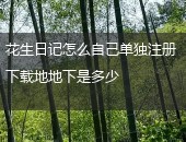 花生日记,花生日记怎么自己单独注册