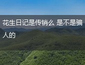 花生日记传销