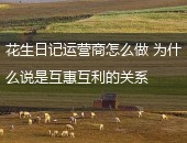 花生日记,花生日记运营商