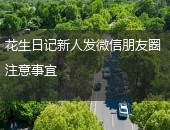 花生日记注意事宜