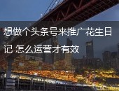 头条号推广花生日记
