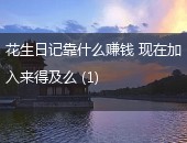 花生日记赚钱,花生日记怎样赚钱