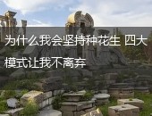花生日记模式