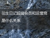 花生日记超级会员和运营
