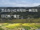 花生日记推广